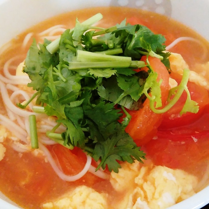 お鍋一つで超簡単！パクチー香るトマたま麺